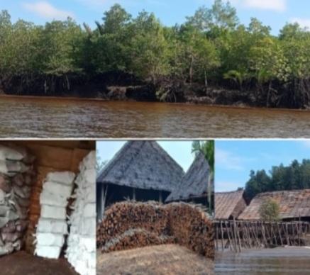 Apidian Suherdianta: Baru 54 Kilang Arang Kantongi Izin di Kepulauan Meranti