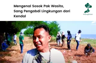 Gerakan Hijau Komunitas Mangrove Kendal Pulihkan Ekonomi Pesisir