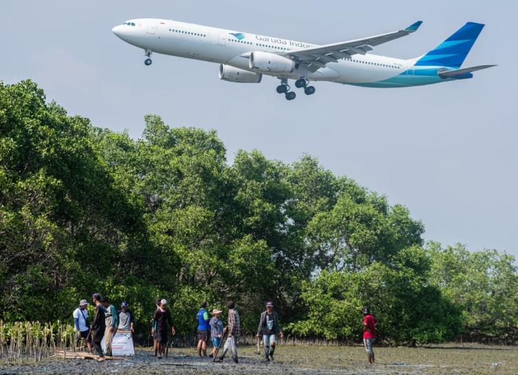 Pesisir Terancam, Mangrove Jawab Data Kerusakan dan Aksi Perbaikan 2025