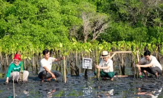 600+ Brand Telah Bergabung Tanam Pohon: Green Branding Bukan Sekadar Trend