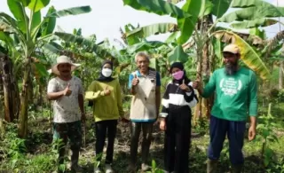 Di Jabungan Total15 Ribu Pohon Ditanam, Warga Menanti Manfaat Ekonomi