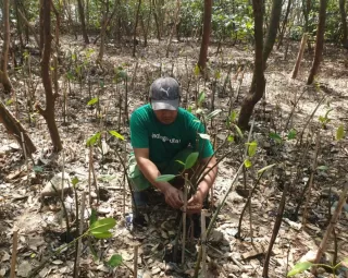 Warga Wonorejo Bangkitkan Ekonomi Lewat Rehabilitasi Mangrove Bersama LindungiHutan