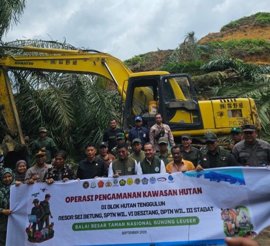 Seluas 360 Hektar Kelapa Sawit Dimusnahkan Kemenhut Bersama Satgas PKH di TNGL