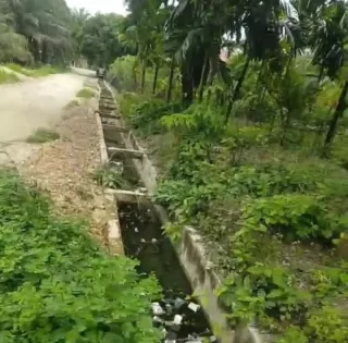 Proyek Dibiayai DD Diduga Syarat Korupsi, Kejari Rohul Didesak Periksa DD dan Kades Ngaso