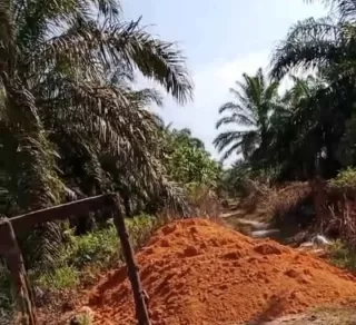 Gandeng Beberapa Organisasi, BPDP Perluas UMKM dari Sawit ke Non Sawit