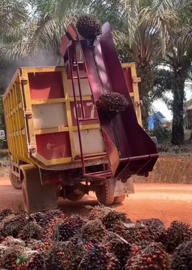 PKS Tidak Ada Kebun dan PKS Brondolan Ancaman Nyata Pola Kemitraan dan Rusak Tata Kelola Industri