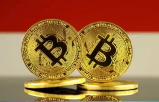 Diam-diam! Indonesia Jadi Mesin Pertumbuhan Kripto di Asia Pasifik Nomor 2 Tertinggi