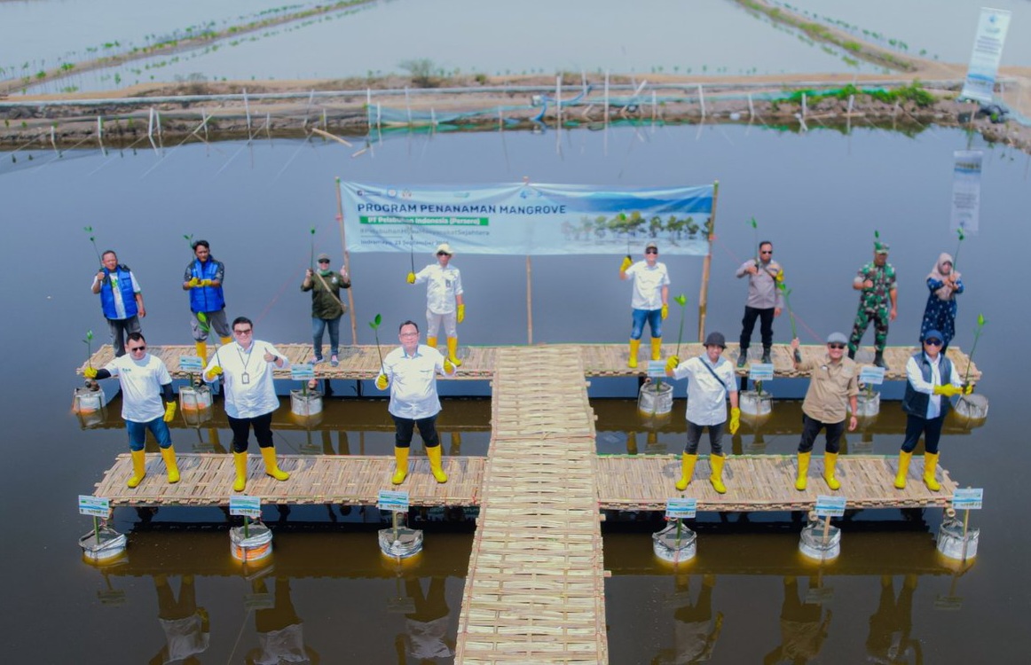 Tanam 16.000 Bibit Mangrove, PT SPSL Perkuat Ekosistem Blue Carbon Mitigasi Perubahan Iklim
