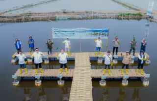 Tanam 16.000 Bibit Mangrove, PT SPSL Perkuat Ekosistem Blue Carbon Mitigasi Perubahan Iklim