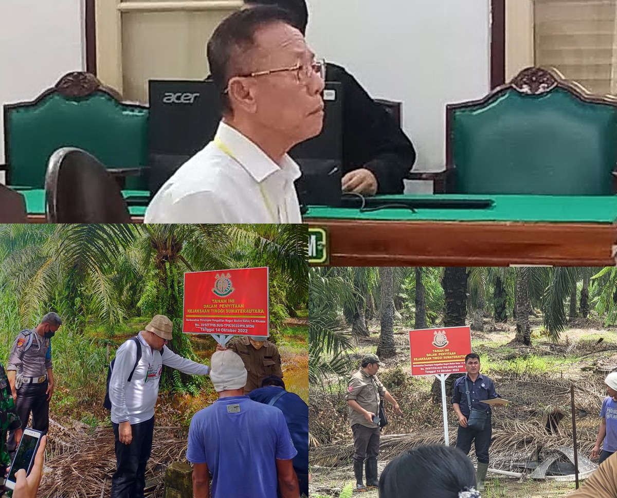 Perambah Hutan Margasatwa Langkat Divonis 10 Tahun, Denda Rp856 Miliar, Tapi Masih Berkeliaran