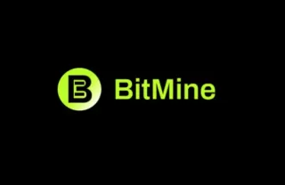 BitMine Umumkan CEO Anyar, Siap Kendalikan Treasury Ethereum Jumbo $11 Miliar