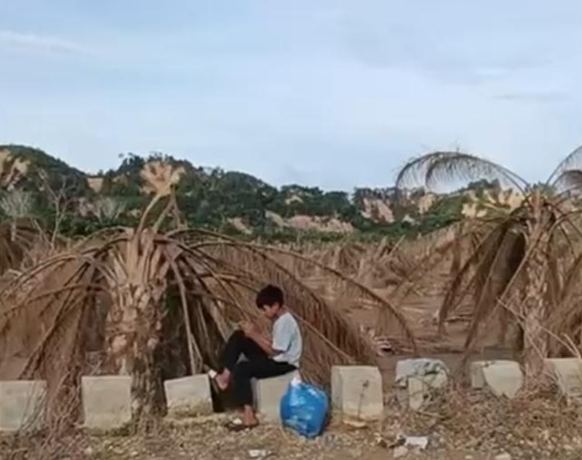 Seluas Ratusan Hektar Kebun Sawit Rusak Diterjang Lumpur dan Kayu Gelondongan di Aceh Tamiang