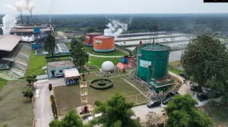 ROA PalmCo Tembus 7,9 Persen, Sinyal Penguatan Kinerja Aset Holding PTPN