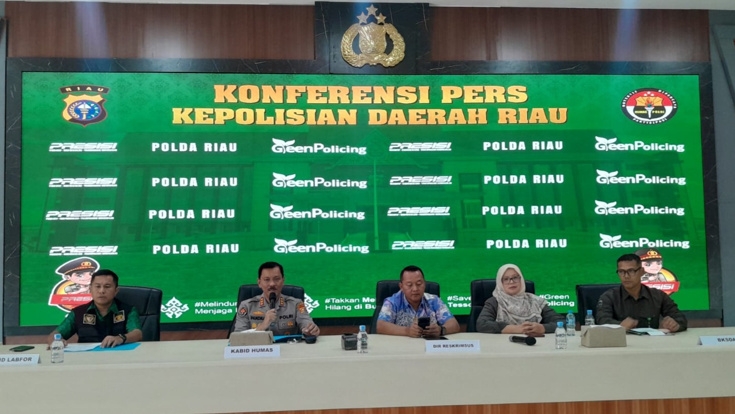 Gajah Mati Mengenaskan di Ukui Diduga Ditembak Pemburu, Dua Proyektil Ditemukan