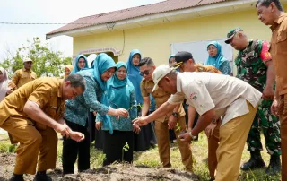 TP PKK Binjai Dorong Ketahanan Pangan Lewat Penanaman Sayur