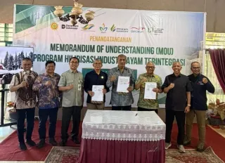 Akselerasi Ketahanan Pangan, PTPN I Bangun Ekosistem Terintegrasi di Bone