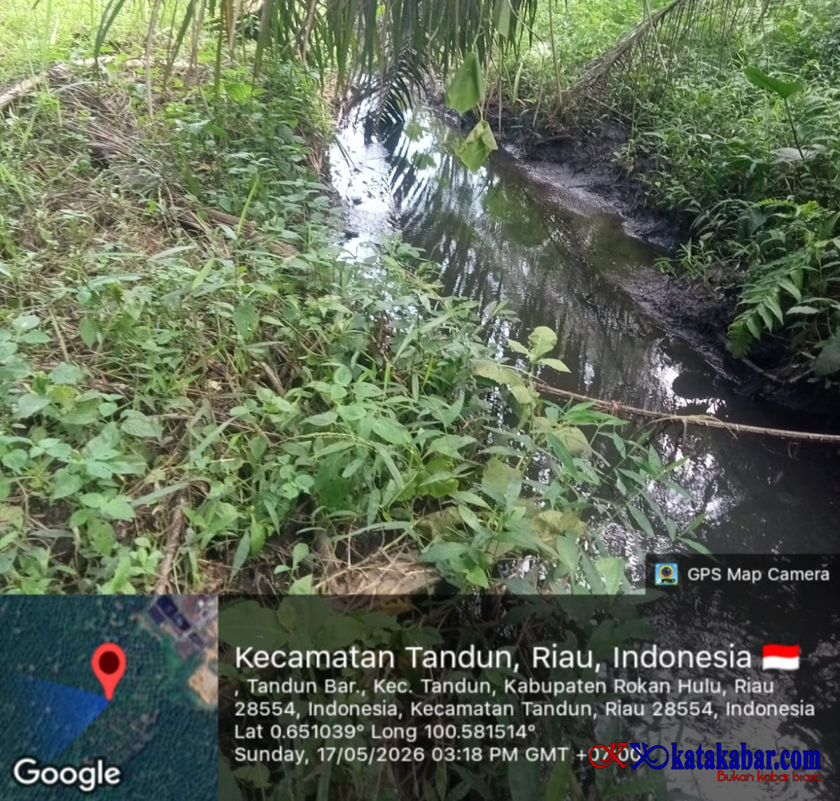 Ngeri! PT HCA Operasi Tanpa Izin, Limbah Hitam Pekat Banjiri Sungai dan Hajar Tanaman Warga