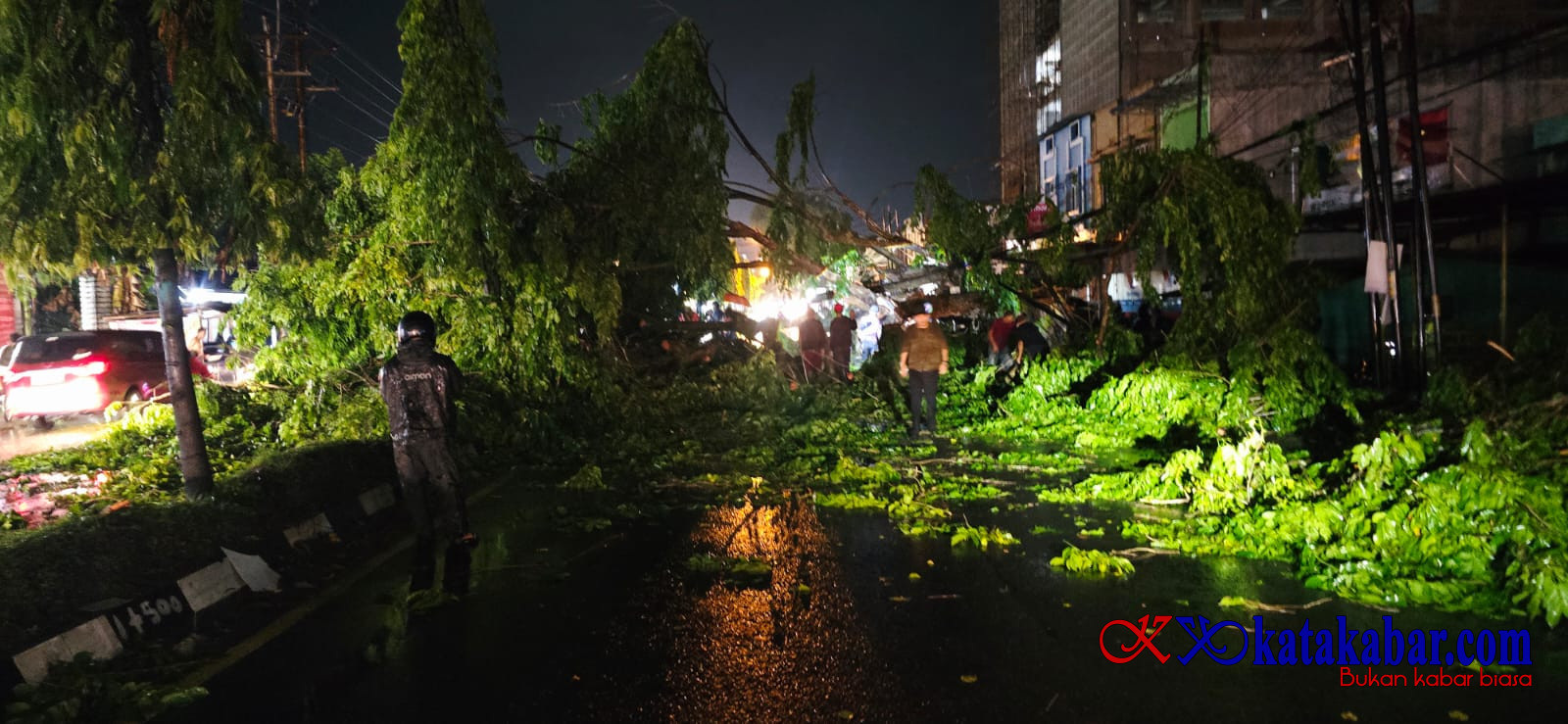 Pohon Tumbang Timpa Mobil di Jalur Stabat-Binjai, Cuaca Ekstrem Kembali Uji Kesiapan Mitigasi Langkat