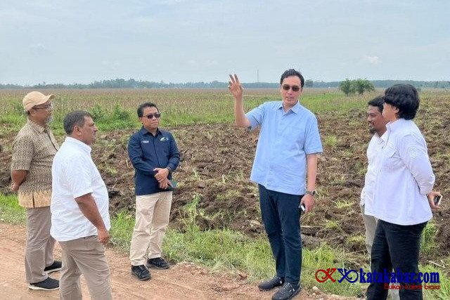 Dukung Program Mandiri Energi Nasional, Holding PTPN Siapkan 10 Ribu Hektar Lahan Singkong di Lampung