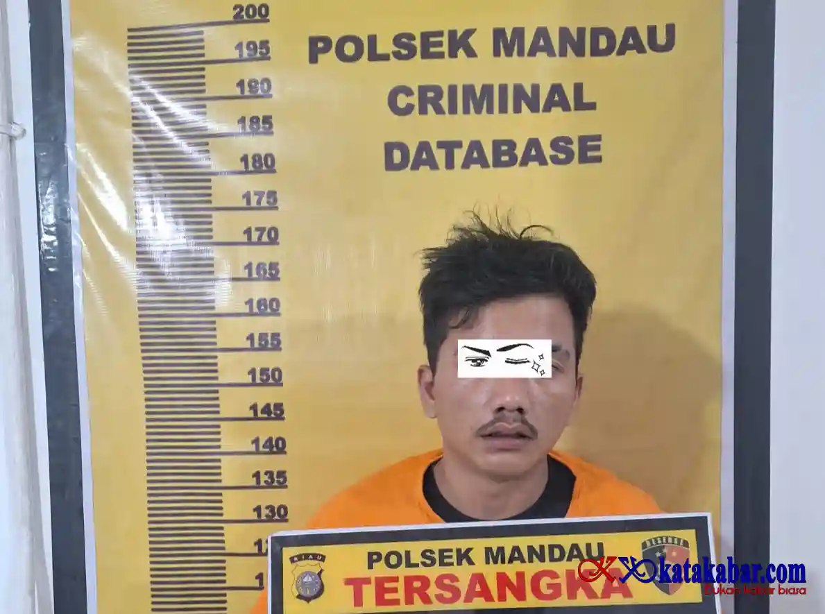 Pelaku Curas Diringkus Polsek Mandau di Jalan Gajah Mada Amankan Satu Unit Sepeda Motor