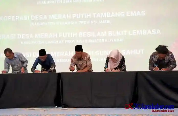Perkuat Keberlanjutan Industri Sawit, BPDP Tancap Gas PSR dan Penguatan SDM Perkebunan
