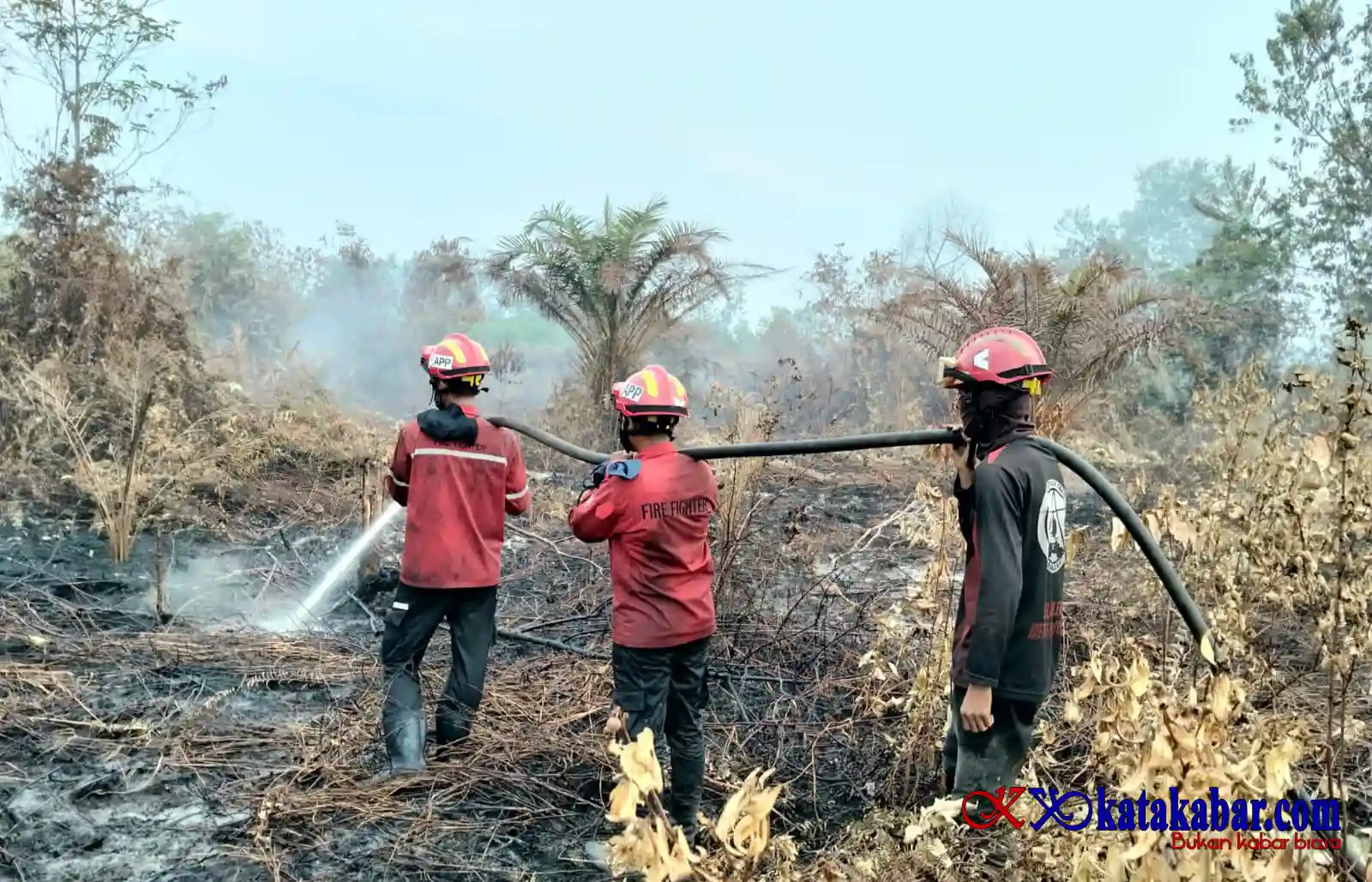 PT Arara Abadi Bersama Tim RPK  Berjibaku Padamkan Karhutla di Teluk Meranti