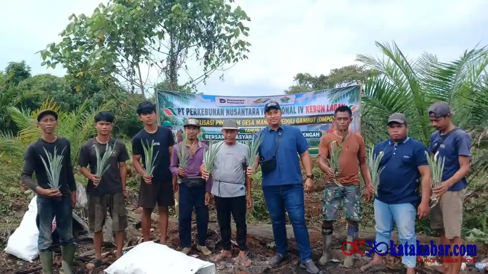 Tingkatkan Pendapatan Warga, PTPN IV PalmCo Salurkan Ribuan Bibit Nanas Bagi Dua Desa di Jambi