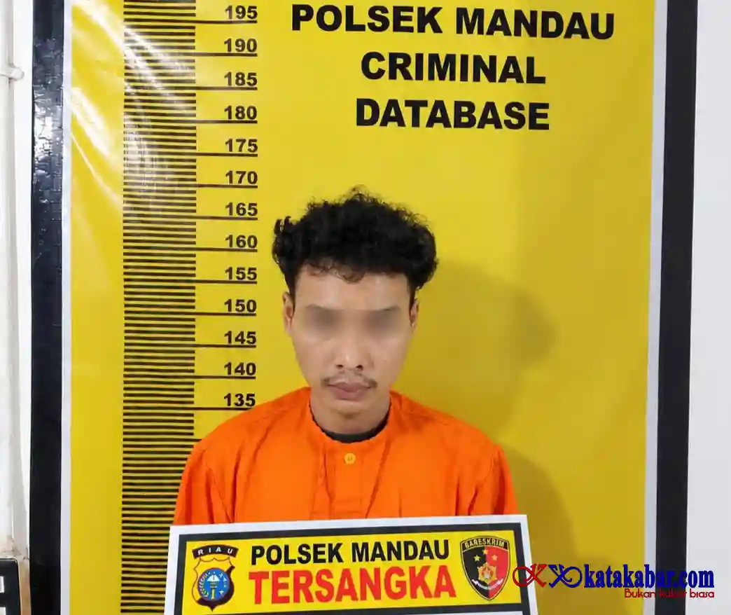 Pria Muda Dibui Polsek Mandau Usai Setubuhi Anak Bawah Umur di Penginapan Gundaling