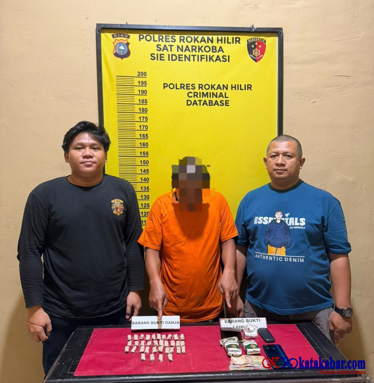 Polres Rohil Sikat Bandar Narkoba di Panipahan Amankan Total 34 Paket Ganja