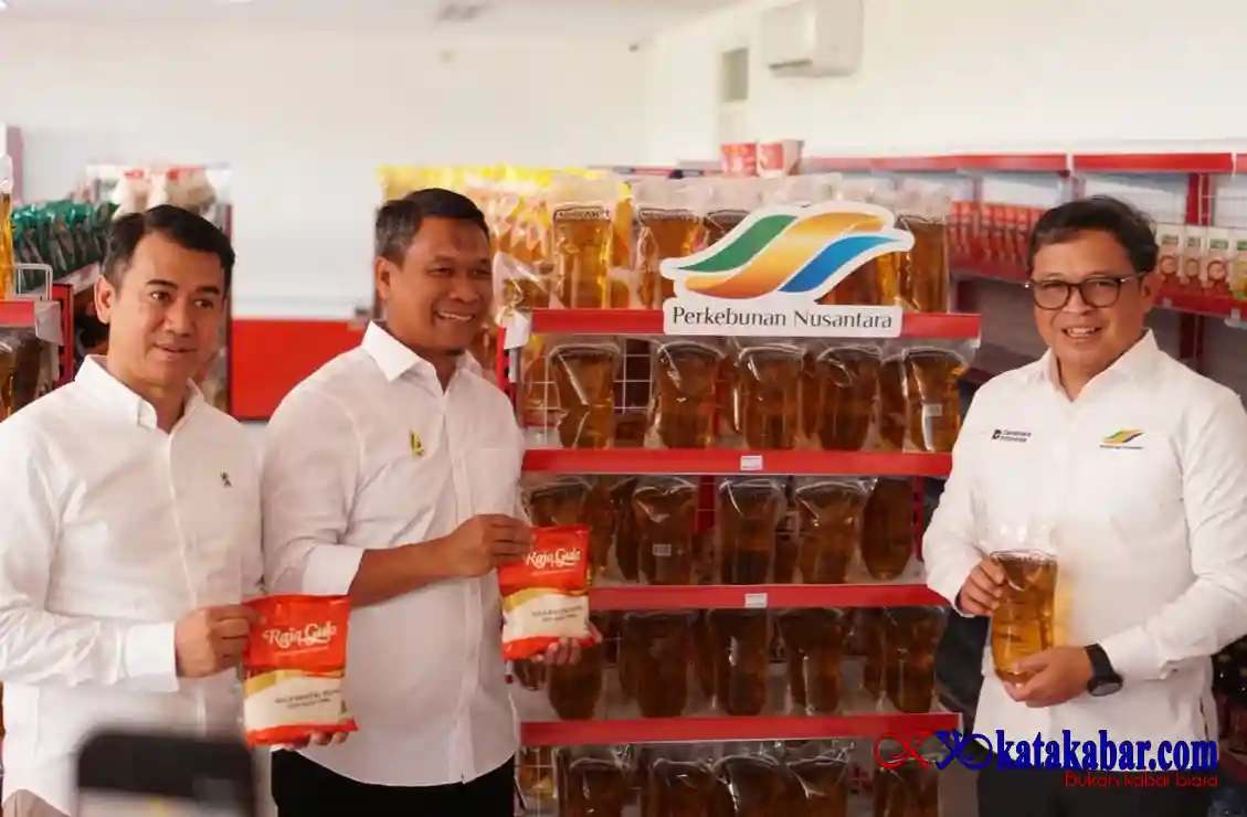 Holding PTPN Perkuat Kontribusi Ketahanan Pangan, Buka Peluang Sinergi dengan Kopdes