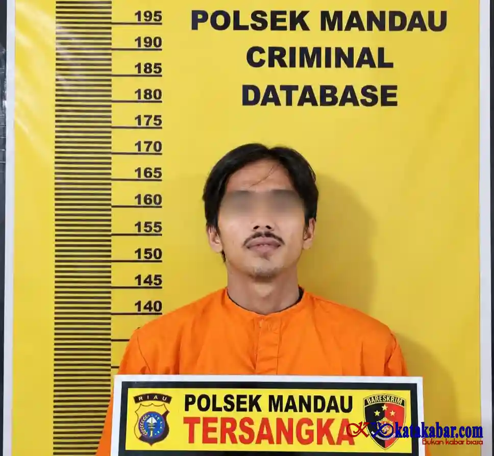 Melanggar Pasal 466 KUHP Warga Talang Mandi Diringkus Polisi