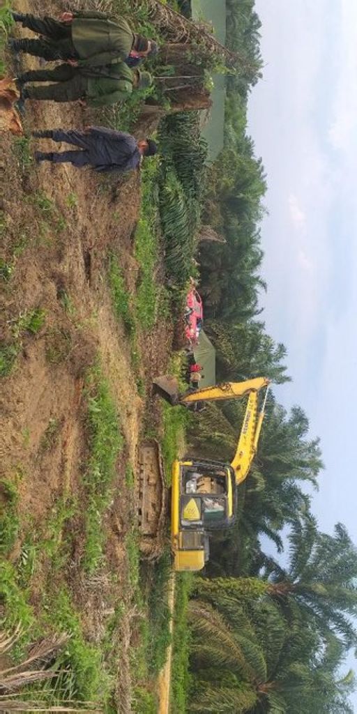 DPRD Pelalawan Minta PT PSJ Ganti Kebun Sawit Petani yang Dieksekusi
