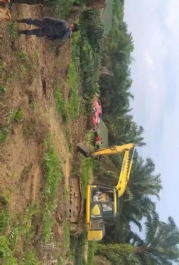 DPRD Pelalawan Minta PT PSJ Ganti Kebun Sawit Petani yang Dieksekusi