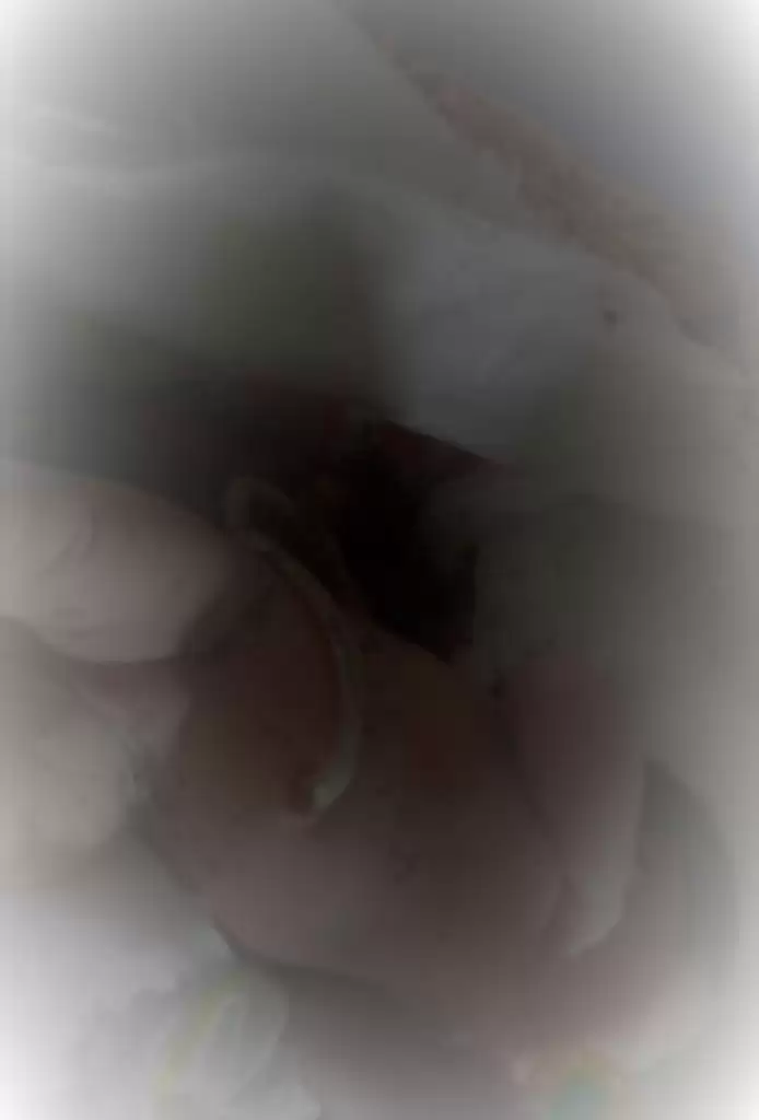 Busyet! Bayi Ini Dikarungi, Dibuang di Kebun Sawit