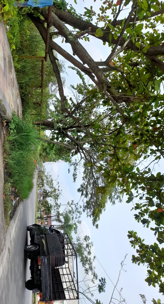 Trotoar Semak dan Jalan Aspal Hang Tuah Multi Fungsi Berlubang