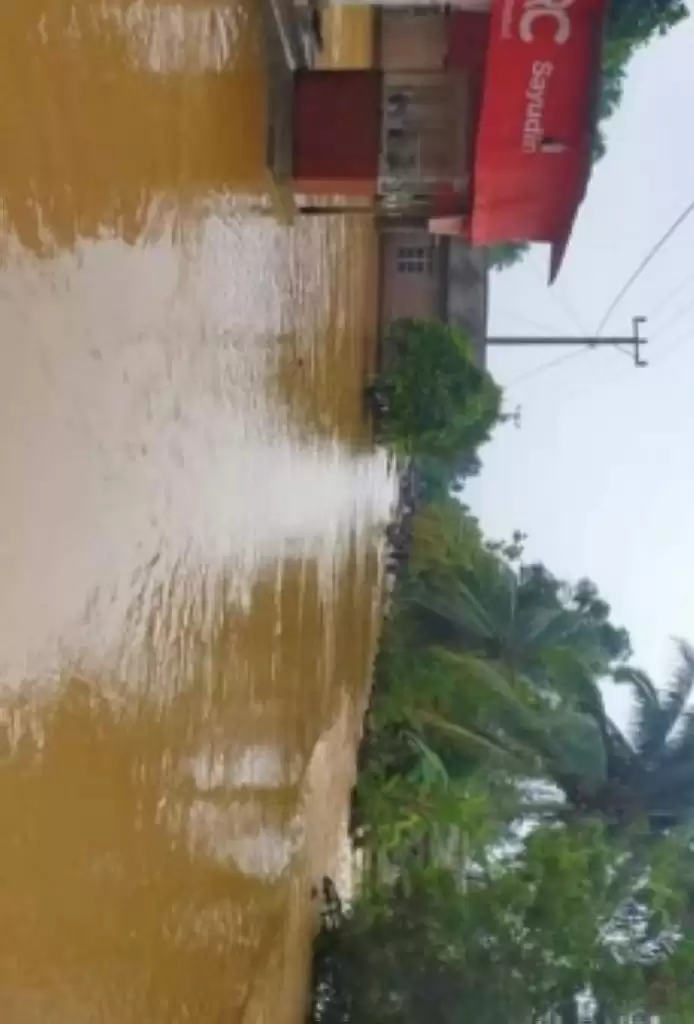 Banjir Tanggamus, Lima Desa Terdampak dan Dua Rumah Rusak Berat