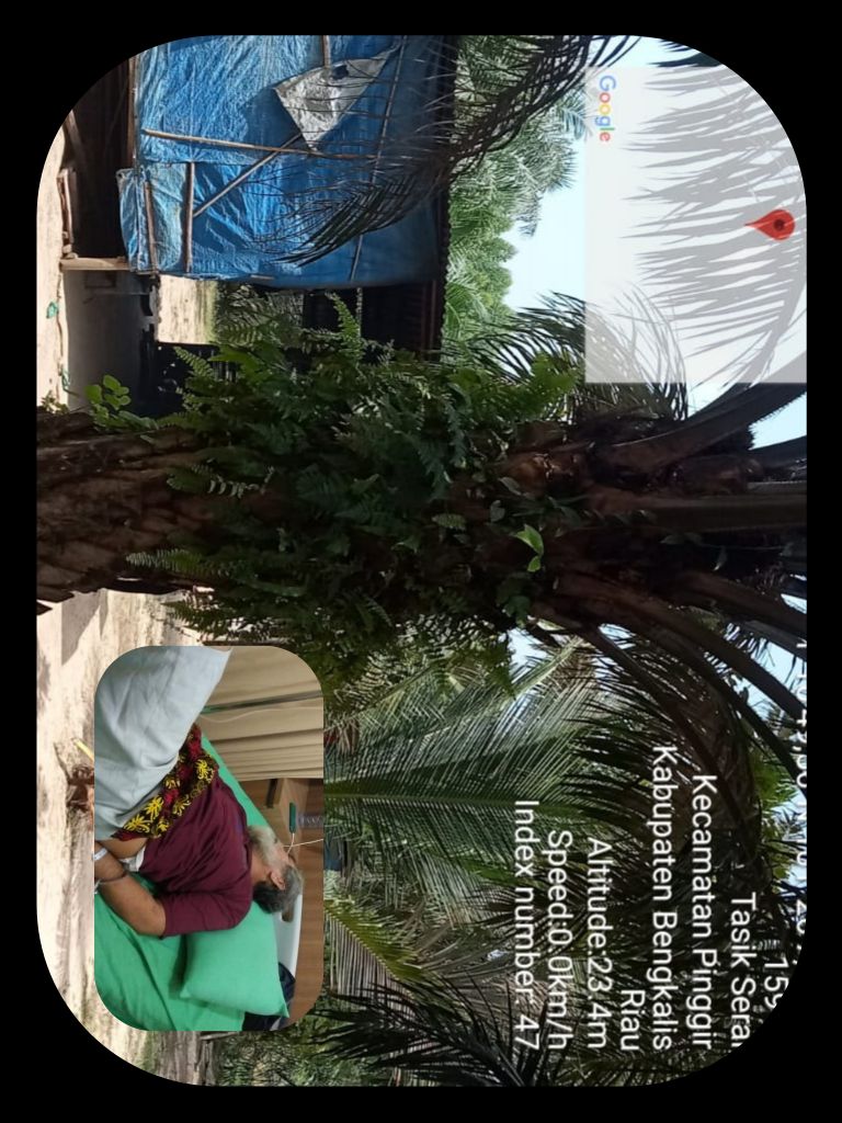 Warga Desa Tasik Serai Jadi Terdakwa Gegara Dilaporkan Humas PT AA