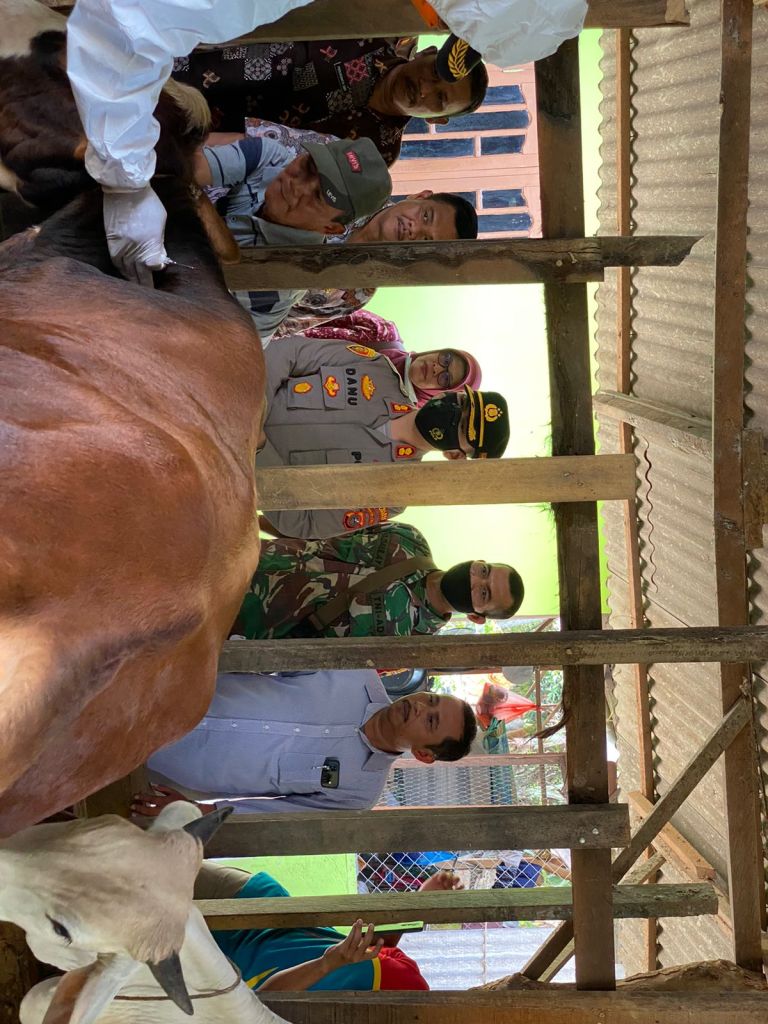 Antisipasi PMK, Hewan di Langkat Mulai Vaksin