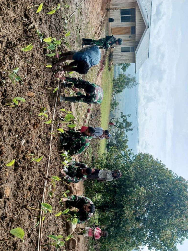 Menjaga Ketahanan Pangan di Pedalaman Papua
